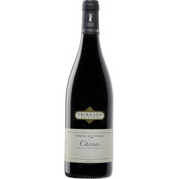 CHENAS ROUGE Jean Francois TRICHARD 2021