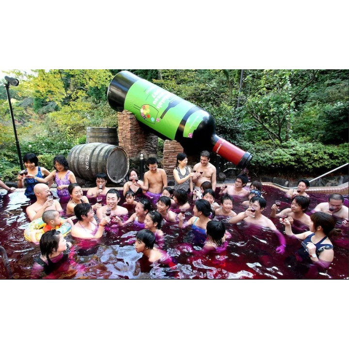 AFTERWORK le 15/11/24 de 16h à 19h : Découverte des crus Beaujolais et Primeur du Château Monternot, animé par le viticulteur