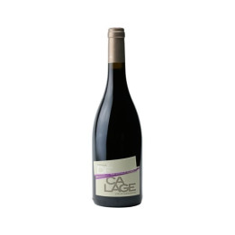 DOMAINE DECALAGE LANGUEDOC Vieux Carignan Rouge 2020 / 2021 75cl