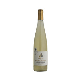 DOMAINE FONTAVIN ﻿MUSCAT DE BEAUMES DE VENISE 2021 Blanc 75 cl 