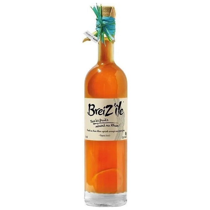 PUNCHS AU RHUM Mangue