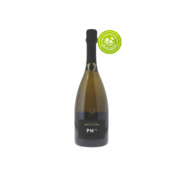 BOLLINGER CHAMPAGNE BRUT BLANC PNZ 16 