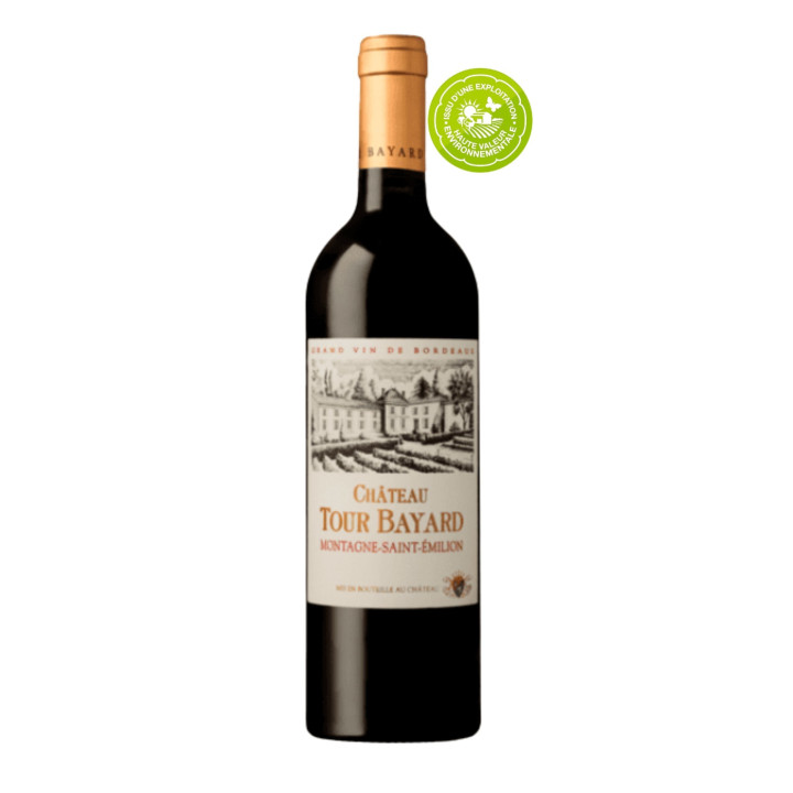 MONTAGNE SAINT EMILION 2010 ROUGE Château Tour Bayard 
