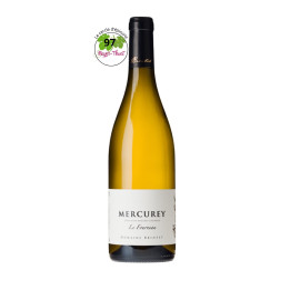 DOMAINE BRINTET MERCUREY BLANC Les Morrees Vieilles Vignes 2022 / 2023 75cl