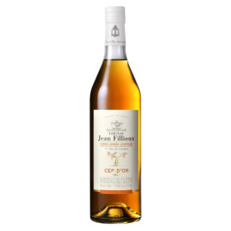 COGNAC FILLIOUX CEP D'OR