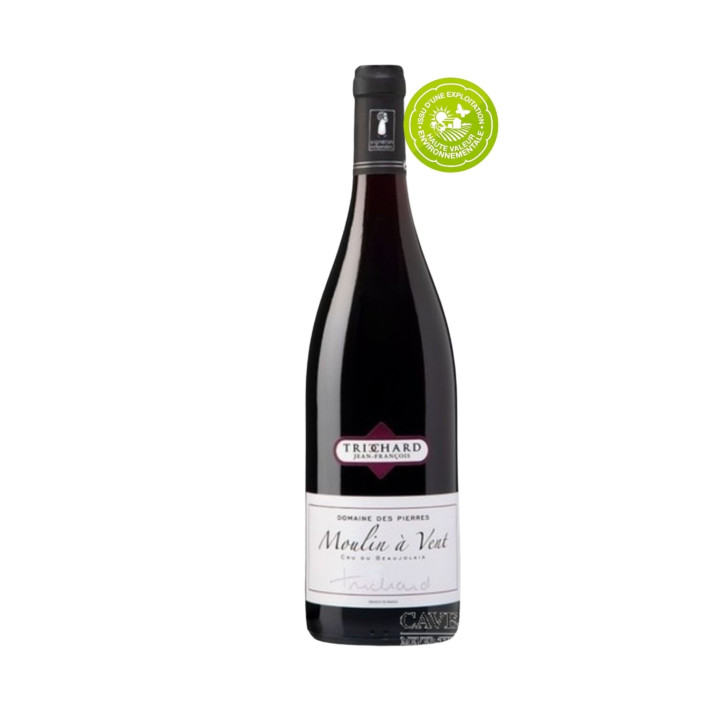 MOULIN A VENT ROUGE Jean Francois TRICHARD 2020